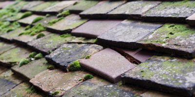 Winchelsea roof repair costs